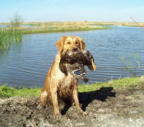 Zoe is proud of her duck!